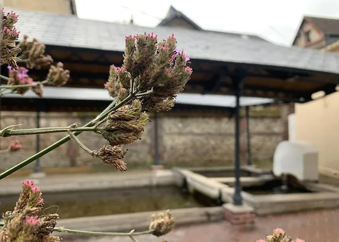 L'ecole Des Demoiselles Bed & Breakfast Honfleur