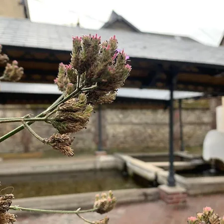 L'ecole Des Demoiselles Bed and breakfast Honfleur